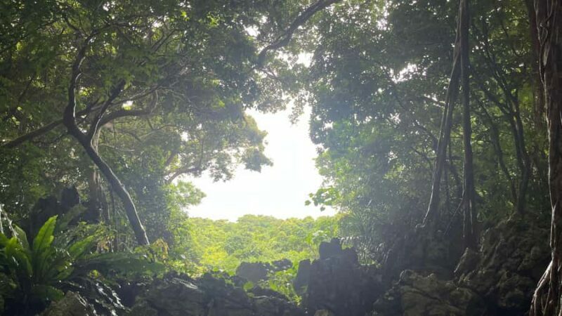 Okinawa: Bus Tour to Yanbaru National Park and Kouri Island - FAQs