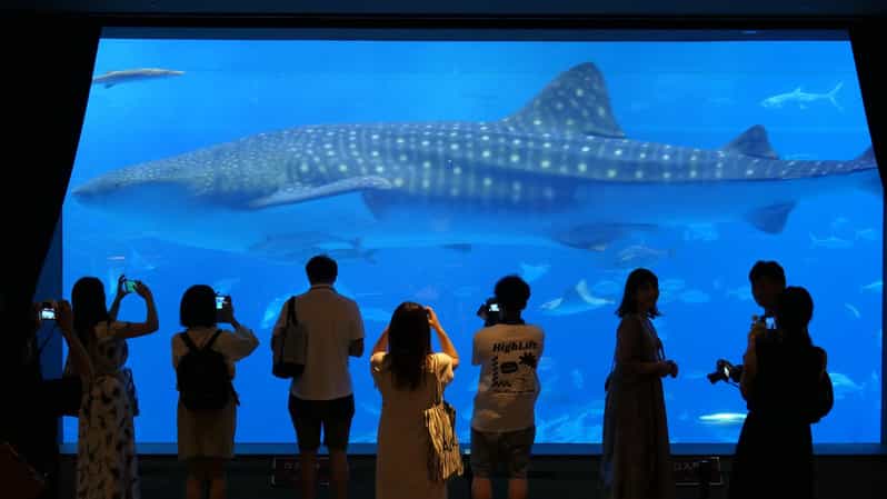 Okinawa: Churaumi Aquarium Entry Ticket - Visitor Experience