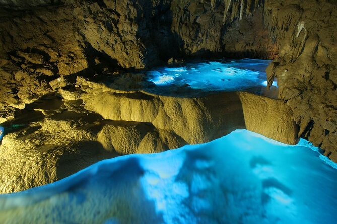Okinawa Day Tour to the Top Sightseeing Spots - Returning to the Meeting Point: Reflecting on the Days Discoveries
