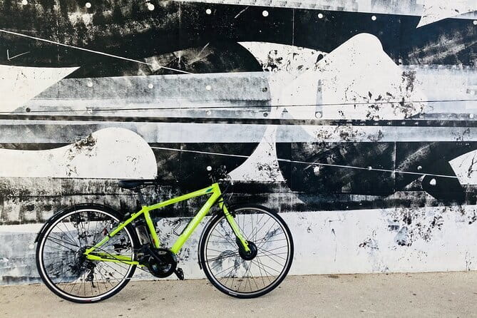 Okinawa E-bike Rental (Sporty Type) - Rental Details