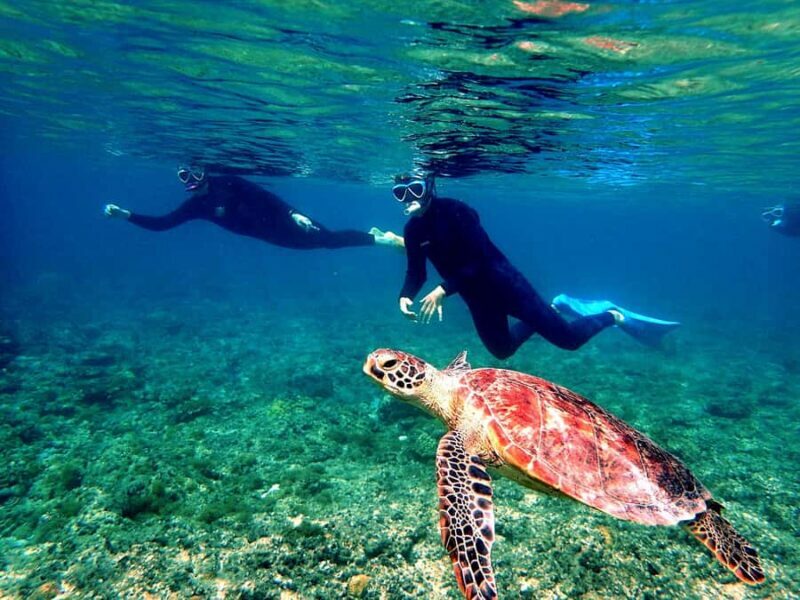 Okinawa: From Naha Full-Day Kerama Islands Snorkeling Tour - Who Should Consider This Tour?