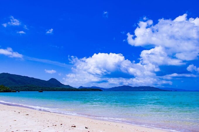 Okinawa Full-Day Tour With Daily Chauffeur - Tour Policies and Inclusions