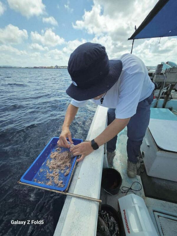 Okinawa: Half-Day Fishing Trip with Local Fisherman - What Sets This Tour Apart?