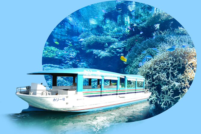 Okinawa Hip-hop Bus B Course Tour (Okinawa Churaumi Aquarium) - Meeting and Pickup