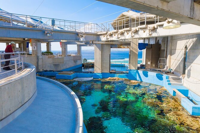Okinawa Hip-hop Bus B Course Tour (Okinawa Churaumi Aquarium) - Customer Feedback
