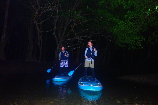 Okinawa Iriomote Night SUP/Canoe Tour in Iriomote Island - Booking and Confirmation