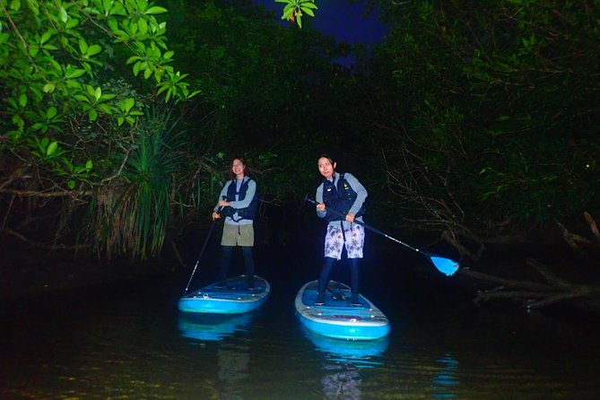 Okinawa Iriomote Night SUP/Canoe Tour in Iriomote Island - Group Size and Composition