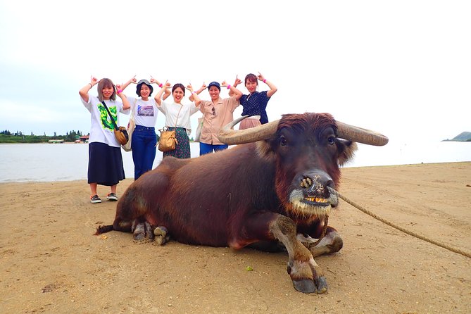 Okinawa Iriomote Splash Canyoning + Sightseeing in Yubujima Island - Overview of the Experience