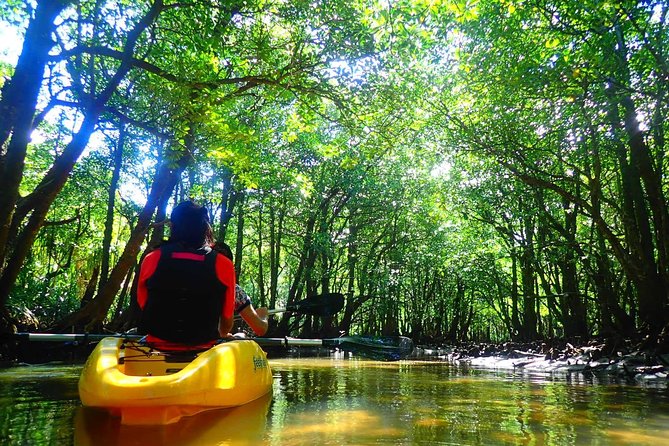 Okinawa Iriomote SUP/Canoe Tour in a World Heritage Site - Group Size