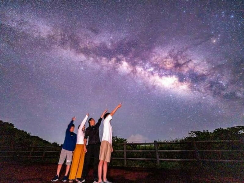 Okinawa Iriomotejima Night Adventure Tour - Key Points