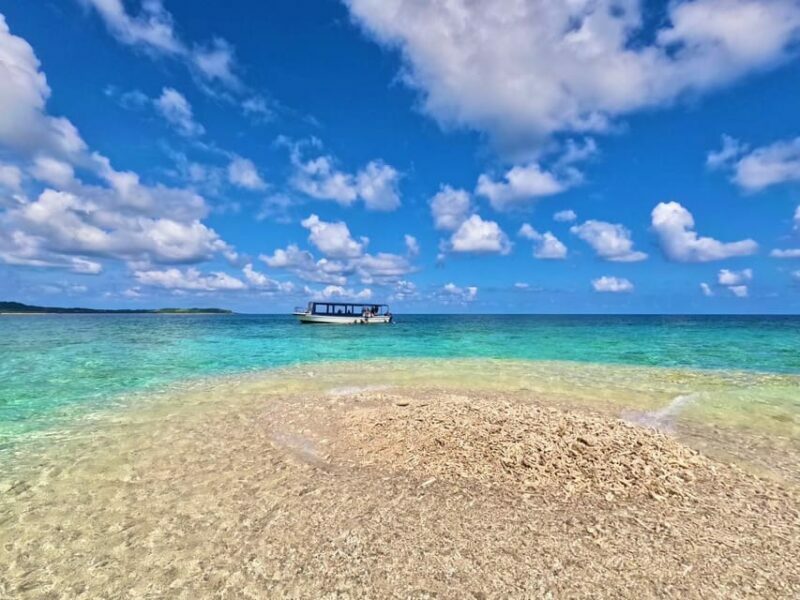 Okinawa Iriomotejima Night Adventure Tour - An In-Depth Look at the Iriomotejima Night Adventure Tour