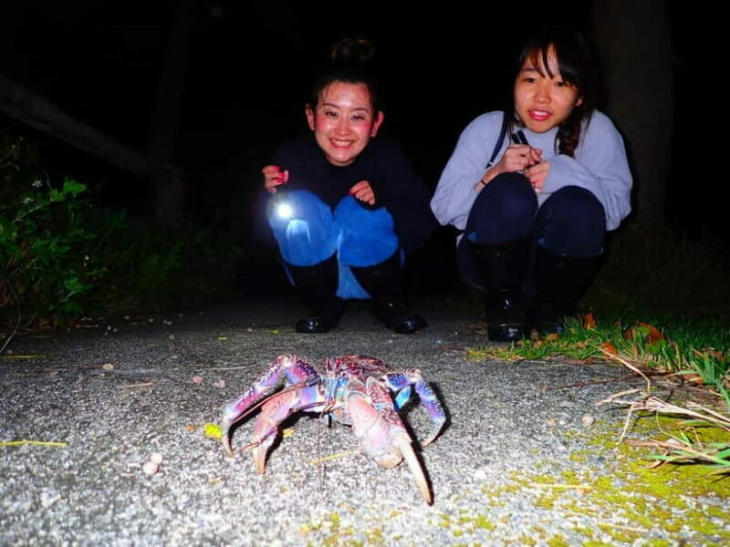 Okinawa Iriomotejima Night Adventure Tour - Frequently Asked Questions