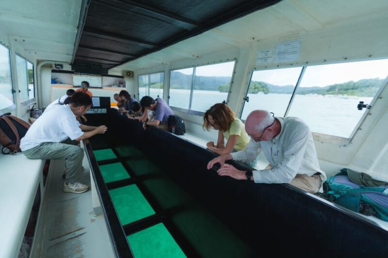 Okinawa Ishigaki Island Private Tour - Key Points