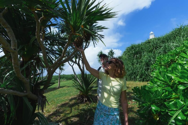 Okinawa Ishigaki Island Private Tour - Optional Locations