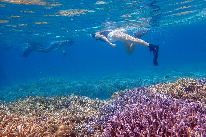 Okinawa Ishigaki Phantom Island and Blue Cave Snorkeling - Key Points