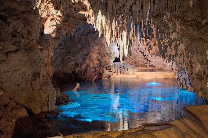 Okinawa Island Custom Full Day Tour By Private Vehicle - Customizable Experiences