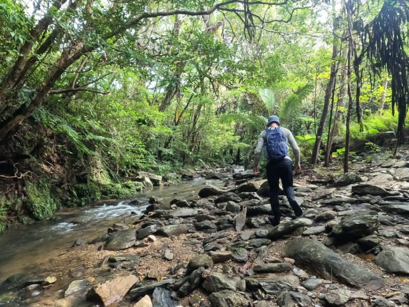 Okinawa: Jungle River Trek: Private Tour in Yanbaru - Key Points
