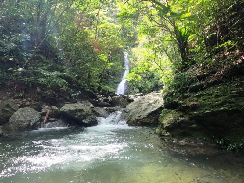 Okinawa: Jungle River Trek: Private Tour in Yanbaru - Starting and Drop-off Locations