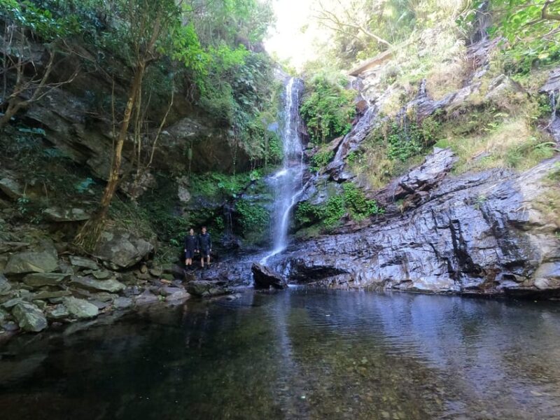 Okinawa: Jungle River Trek: Private Tour in Yanbaru - Highlights of the Experience
