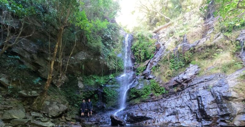 Okinawa: Jungle River Trek: Private Tour in Yanbaru - Whats Included in the Tour