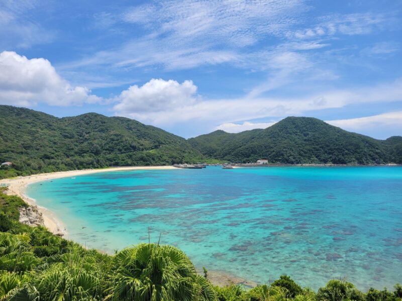 Okinawa: Kerama, Tokashiki Island and Whale Watching Tour - Highlights of the Experience