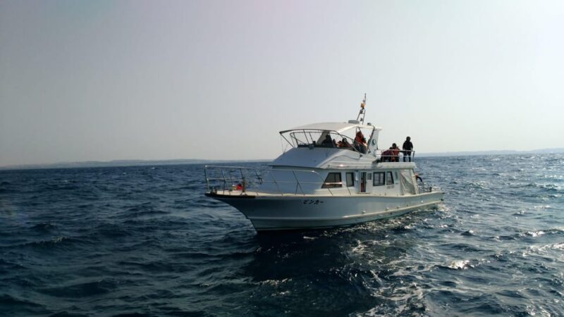 Okinawa : Kerama Whole Day Snorkeling Tour From Chatan - What to Bring and Restrictions