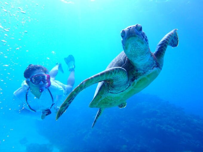 Okinawa : Kerama Whole Day Snorkeling Tour From Chatan - Safety Considerations