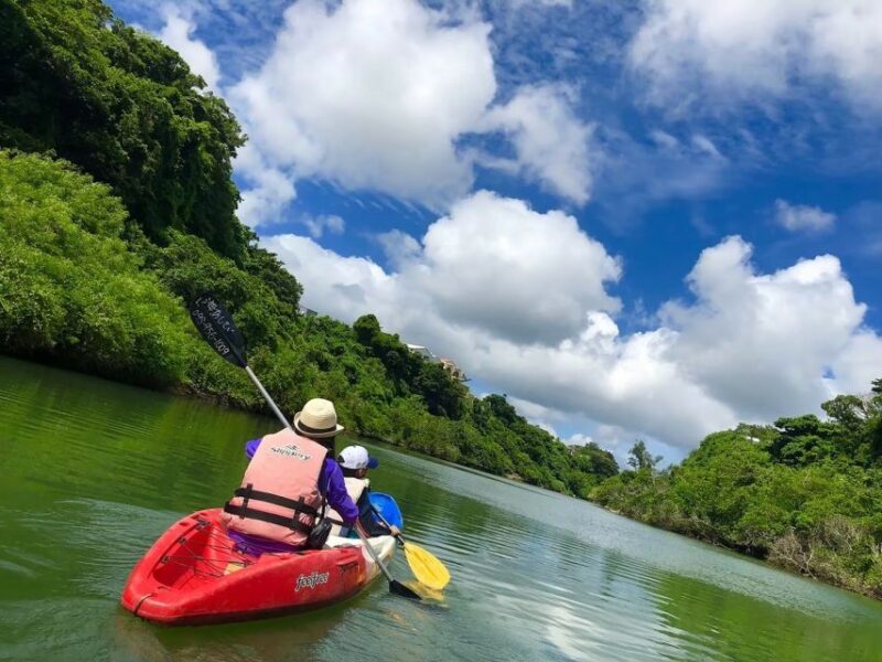 Okinawa: Mangrove Kayaking Tour - Wildlife Sightings