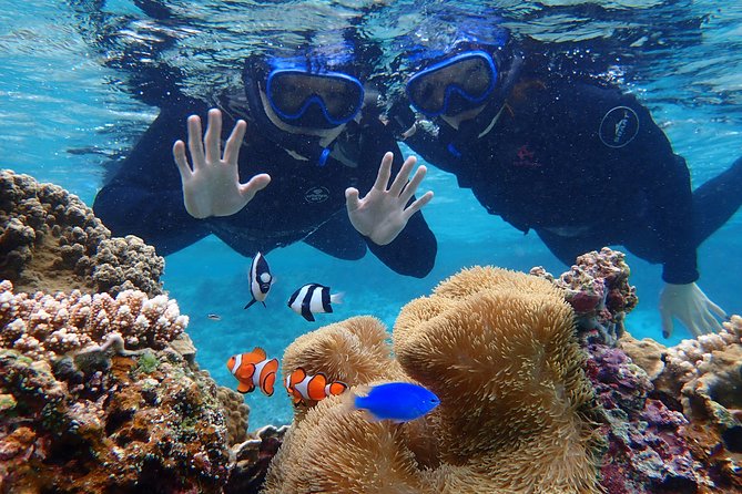 [Okinawa Miyako] [1 Day] Superb View Beach SUP / Canoe & Tropical Snorkeling !! - Cancellation and Policies