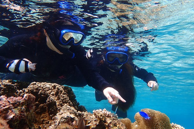 [Okinawa Miyako] 3-set! Beach SUP • Tropical Snorkeling • Pumpkin Limestone Cave • Canoe - Participant Benefits