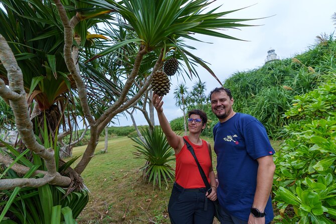 Okinawa Miyako Island Half-day Private Tour - Tour Availability
