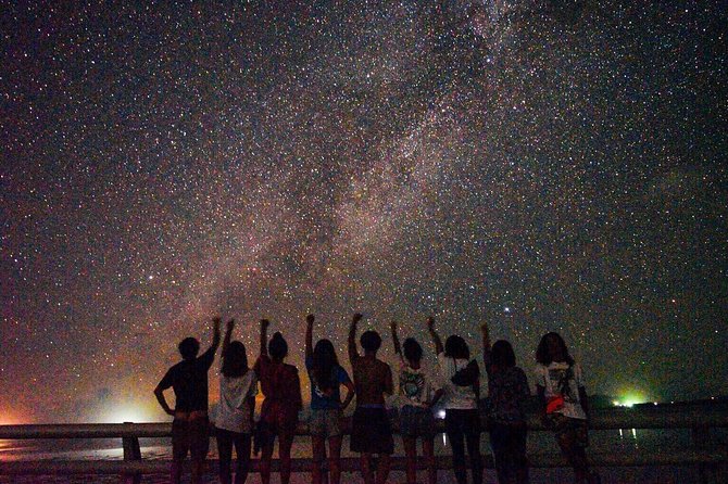 Okinawa Miyako: Natural Planetarium! Starry Sky & Subtropical Jungle Night Tour - Key Points