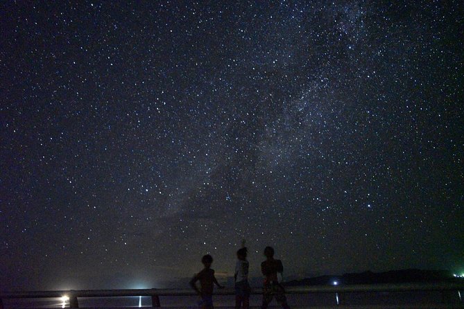 Okinawa Miyako: Natural Planetarium! Starry Sky & Subtropical Jungle Night Tour - Whats Included in the Tour