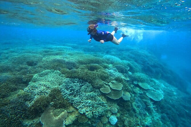 Okinawa Naha Half-day Private Tour - Cancellation and Payment Policies