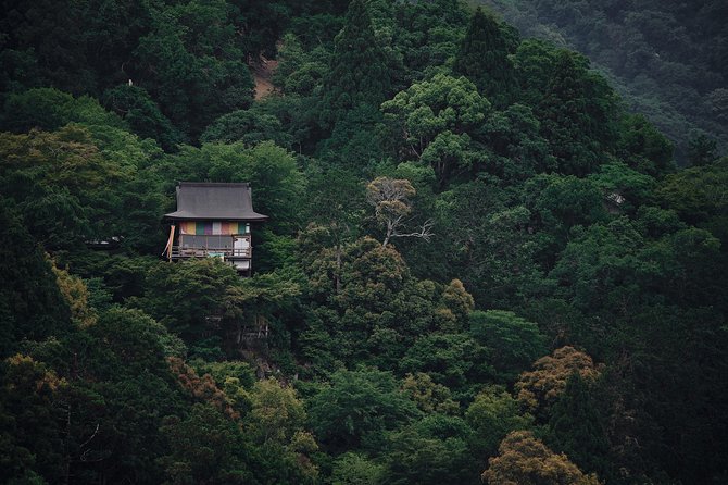 Okinawa Private Customizable 6-Hour Tour By Private Vehicle - Tour Operator Information