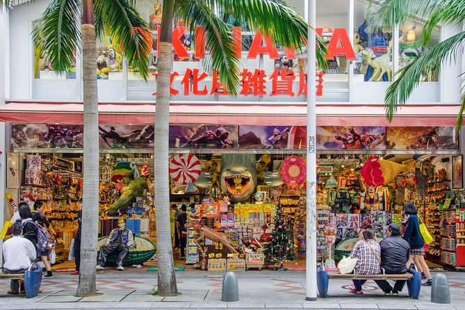 Okinawa Private Customizable 6-Hour Tour By Private Vehicle - Discover Stunning Natural Landscapes