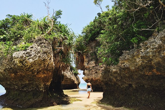 Okinawa Private Customizable 6-Hour Tour By Private Vehicle - Indulge in Okinawan Cuisine and Traditions