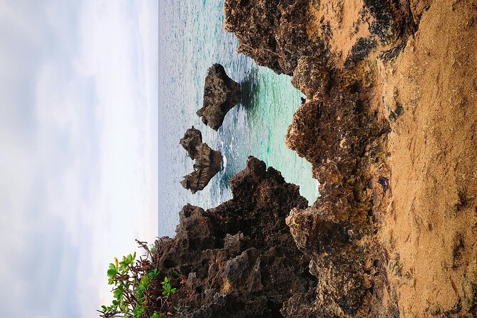 Okinawa Private Full Day Tour With Daily Chauffeur - Exploring Okinawan Culture and History