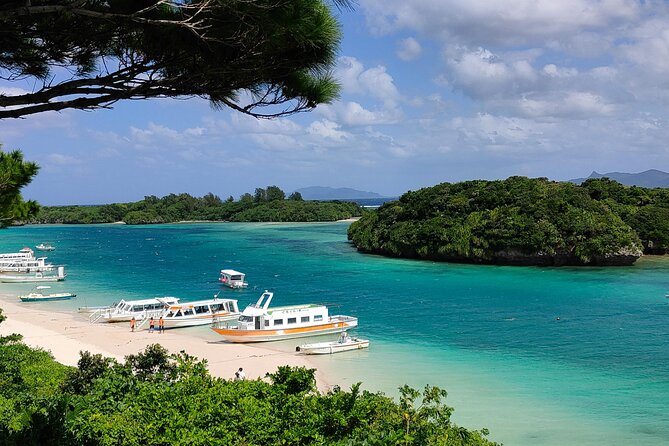 Okinawa Private Full Day Tour With Daily Chauffeur - Scenic Spots and Natural Wonders
