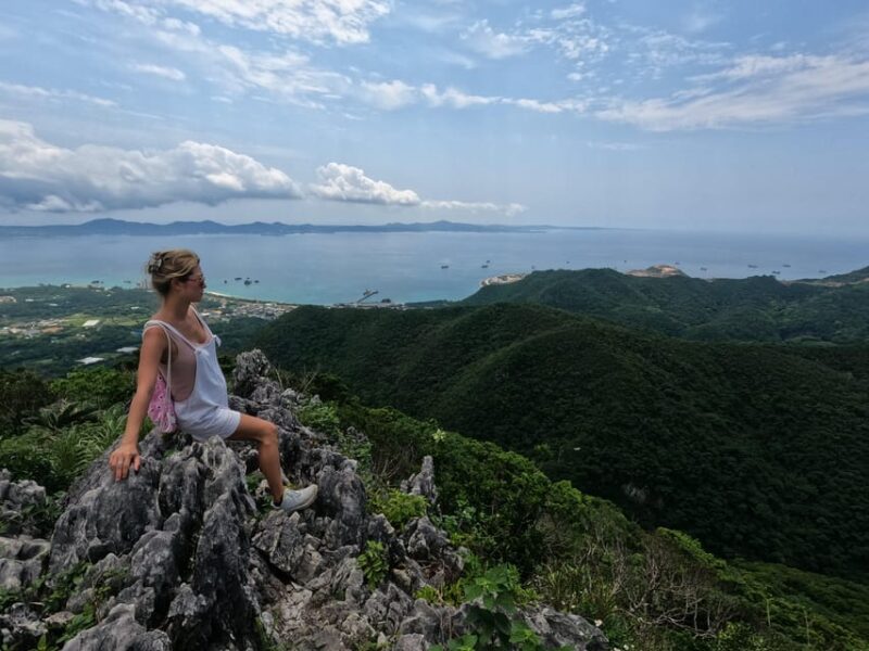 Okinawa: Private Georgeous Beach & Snorkel Tour - Highlights and Experience