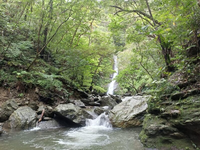 Okinawa: Private Georgeous Beach & Snorkel Tour - Booking and Payment Options