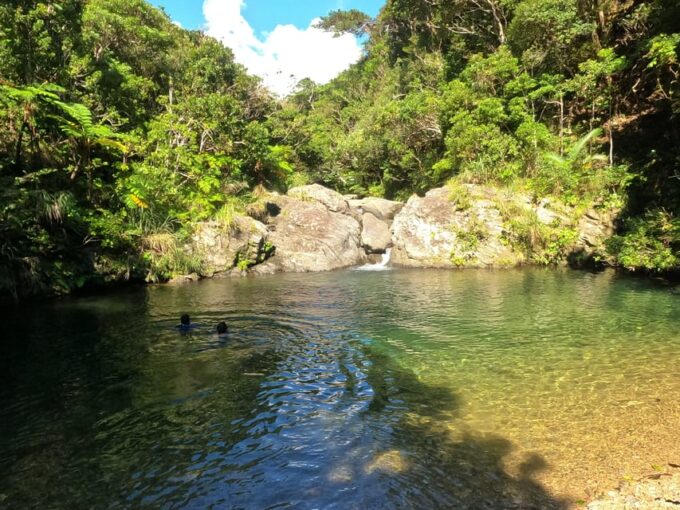 Okinawa: Private Georgeous Beach & Snorkel Tour - FAQ