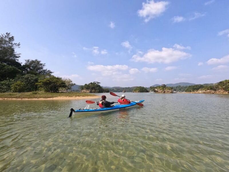 Okinawa: Private Kayak Mangrove or Reef With Native English - Key Points