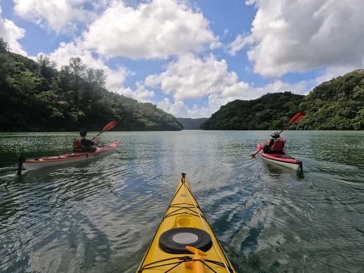 Okinawa: Private Kayak Mangrove or Reef With Native English - Experience Details