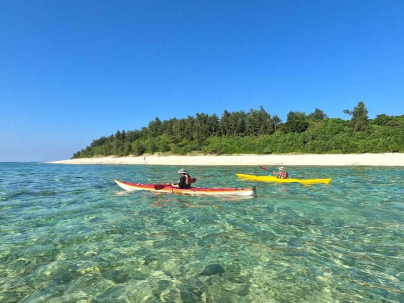 Okinawa: Private Kayak Mangrove or Reef With Native English - Customization and Skill Levels