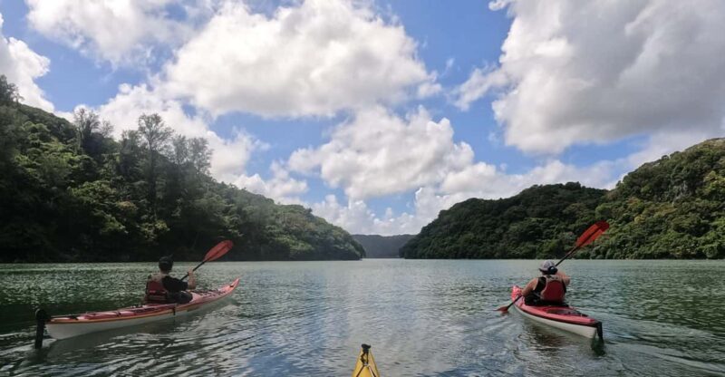 Okinawa: Private Kayak Mangrove or Reef With Native English - Exploring Kouri Island