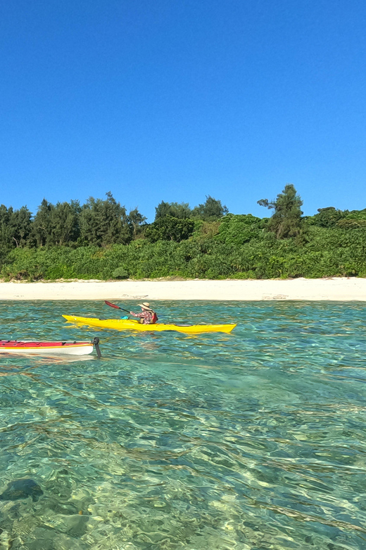 Okinawa: Private Kayak Mangrove or Reef With Native English - Discovering Nakijin Reef