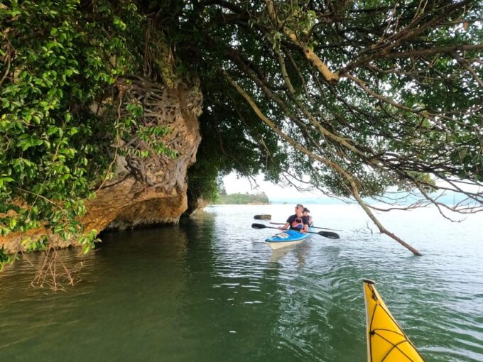 Okinawa: Private Kayak Mangrove or Reef With Native English - Venturing Into Yagaji Sea Valley and Haneji Inland Sea