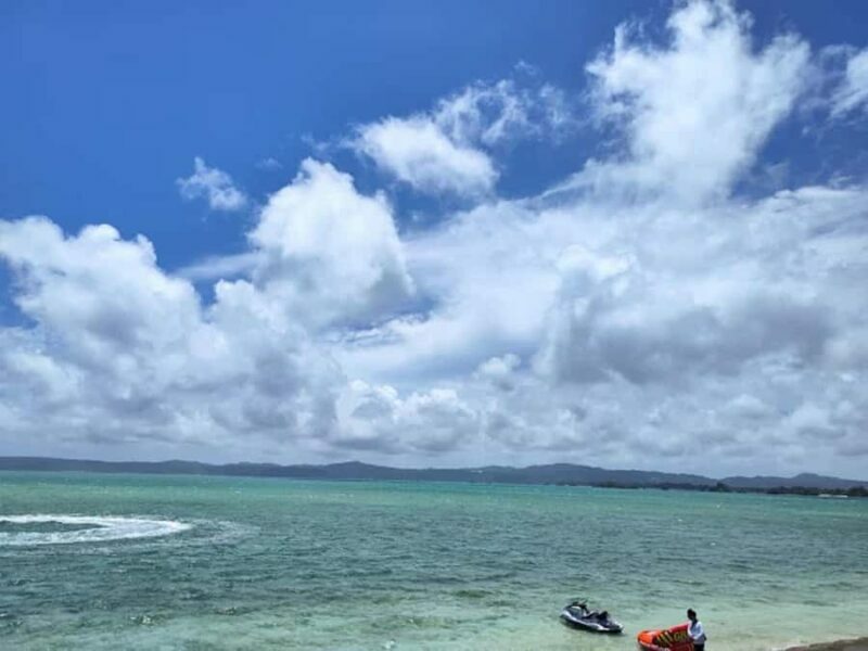 Okinawa: Private Kouri Island, Aquarium & Castle Guided Tour - Who Will Appreciate This Tour?
