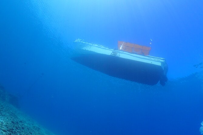 Okinawa Scuba Diving for Certified Divers (3 Boat Dives + Lunch) - Optional Extras